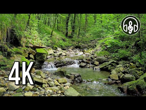 Gentle sound of a flowing stream. 12 hours of 4K video.