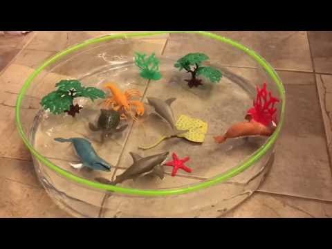 Learn Sea Animals Names in English to Spanish - Video for Children & Kids