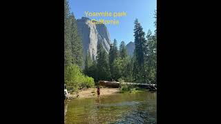 Yosemite park #vacation #family #viralvideo