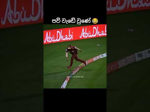 පව් අසරණයා😹#shorts #cricket #ytshorts