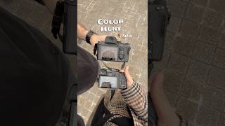 Pink oder Grün?💚💕 #paris #colorhunt #colorwalk #photography