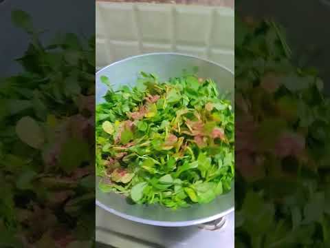 Islamicshorts #shortsfeed #islamicshorts #allah #motivation #motivational ##mts #cooking