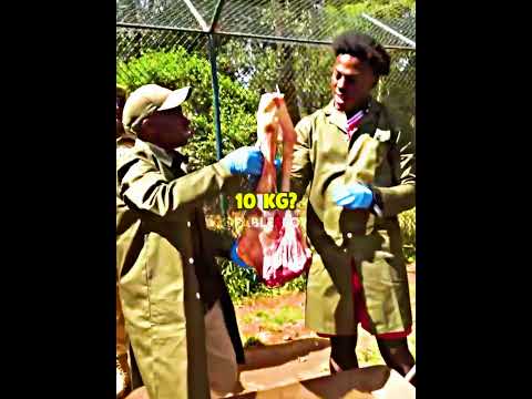 IShowSpeed Feeds Lion