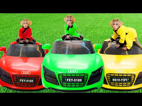 Monkey Baby Bin bin takes care car colorful in the farm