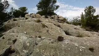 Paseo por la montaña !
