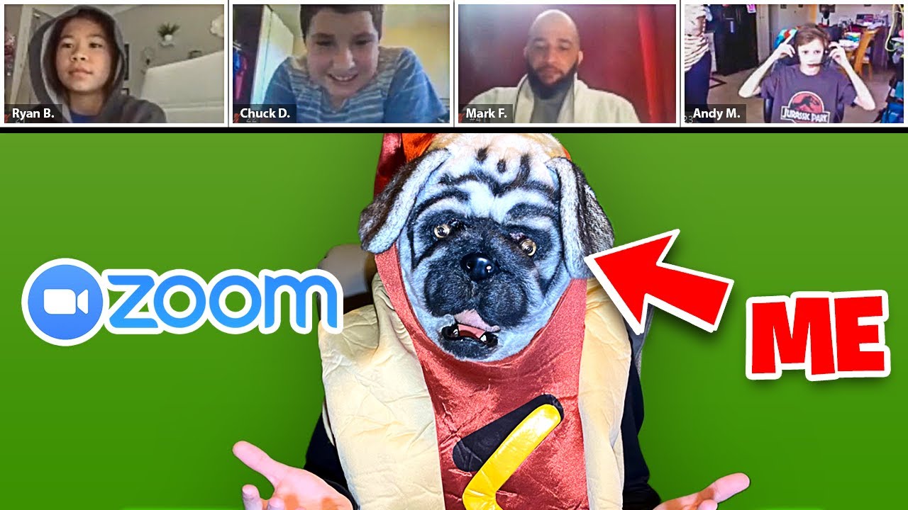 Joining Random Online Zoom Classes undercover!
