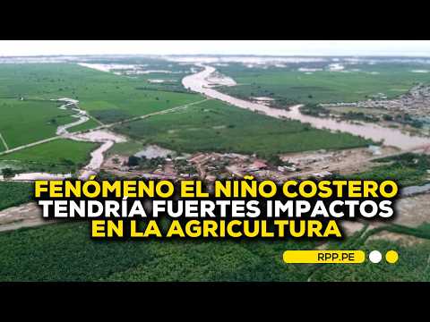 🌧️🚜Fenómeno El Niño costero tendría fuertes impactos en la agricultura #RotativaRPP