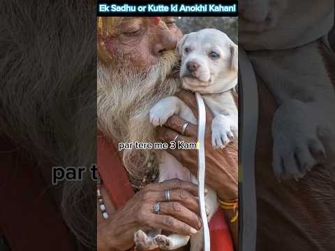 Dog and Sadhu story #shorts #dog