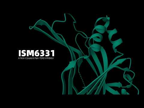 Targeting Hippo Pathway Cancers: Insilico's ISM6331 (Pan-TEAD) Doses First Patient