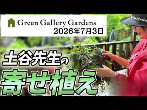 《生配信》2026年7月3日土谷ますみ先生の寄せ植えをLIVEにてご紹介!八王子本店からお届けします!