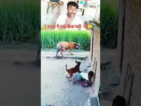 Chori Chori 😱🫣🥵👹🥀 #shorts #ytshorts #trending #shortsviral #anjaniprakashg