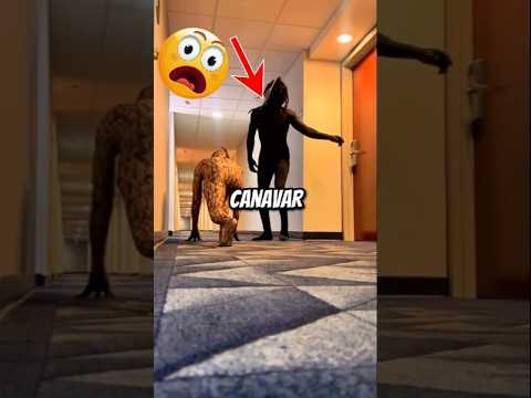 😳O kapıyı ÇALMAYACAKTIK 😂 (@giosofamous on IG)