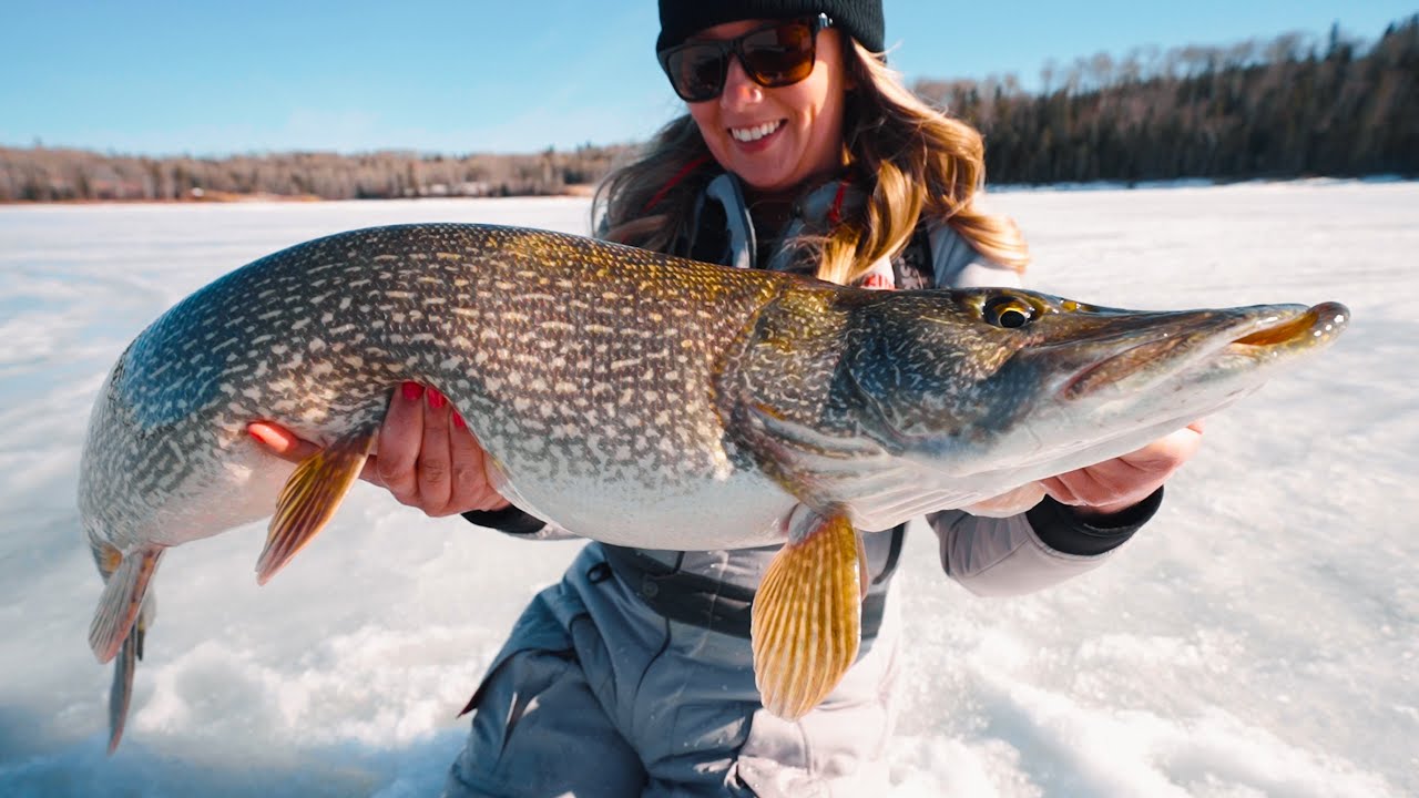 Huge Pike in Super Shallow Water (Underwater Strikes) - Jay Siemens