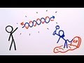 Understanding Light and Quantum Measurement