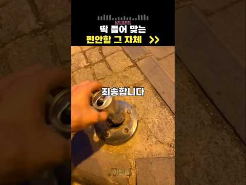 편안함 그 자체 랭킹 밈송