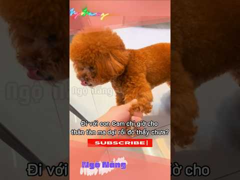 Cho tao theo với #ngonang
