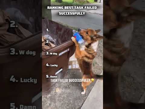 Ranking Best Task Failed Successfully #best #tiktok