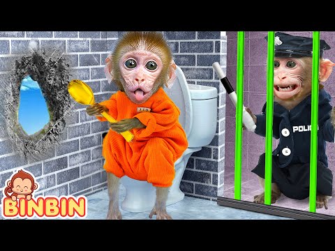 Mono Binbin Explora la Gelatina Arcoíris de Sandía y Nada en la Piscina con Amigos | MONO BINBIN ESP