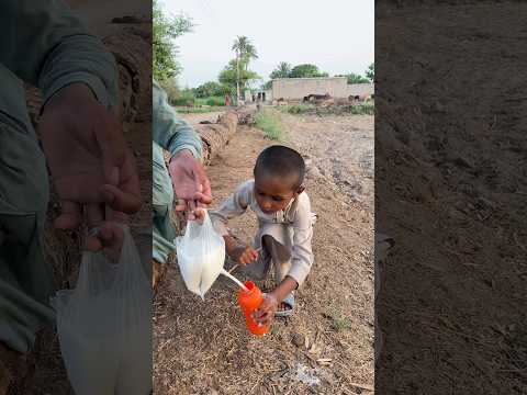 bhen ki bhook Bhai k piyar#india#indiapakistan#viral#viralvideo#foryou#trending#usa#ytshorts#islamic