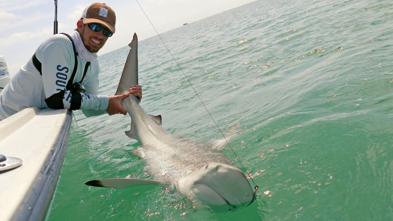 Fishing the Blacktip Shark Migration - ft. Chew On This - 4K