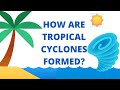 Tropical Cyclone Concepts and Effects
