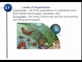 Ecosystem Components and Interactions