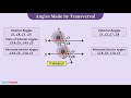Properties of Parallel Lines and Transversals