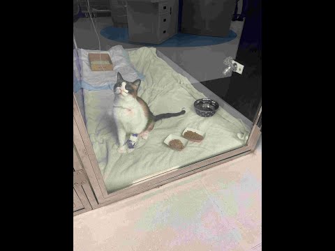 buddy needs some support