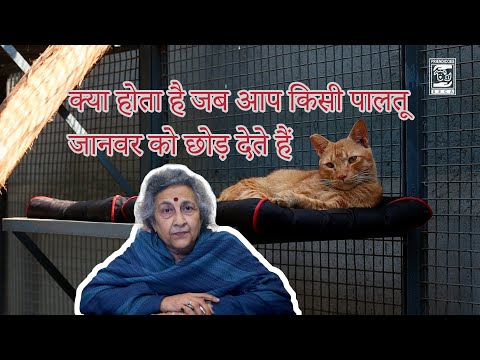 What happens when you abandon a pet | Geeta Seshamani | FRIENDICOES SECA