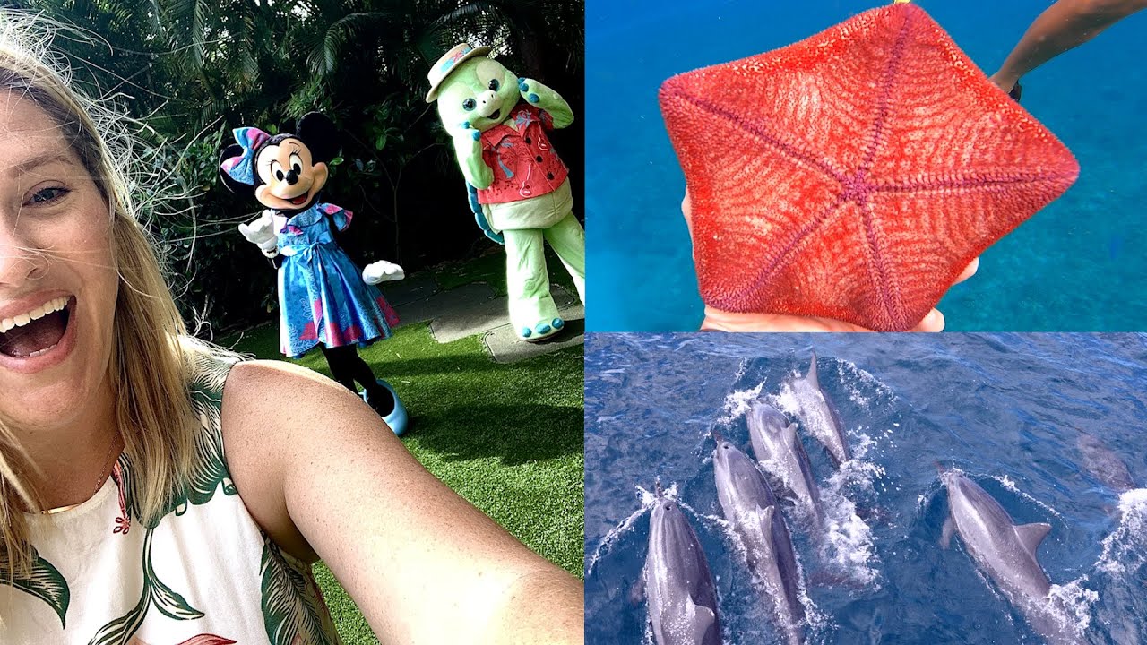 We Went On A Dolphin & Whale Watching Tour In Hawaii! Snorkeling & Free Interactive Game At Aulani The Tim Tracker
