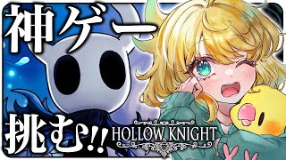 【HOLLOW KNIGHT】シルクソング発売おめでとうございます！！！！！！☀【インコ系Vtuberはなのすみれ】