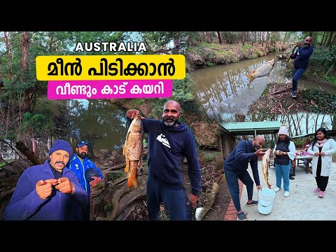 മീൻ പിടിക്കാൻ വീണ്ടും കാട് കയറി | fishing Australia #australia #fishing