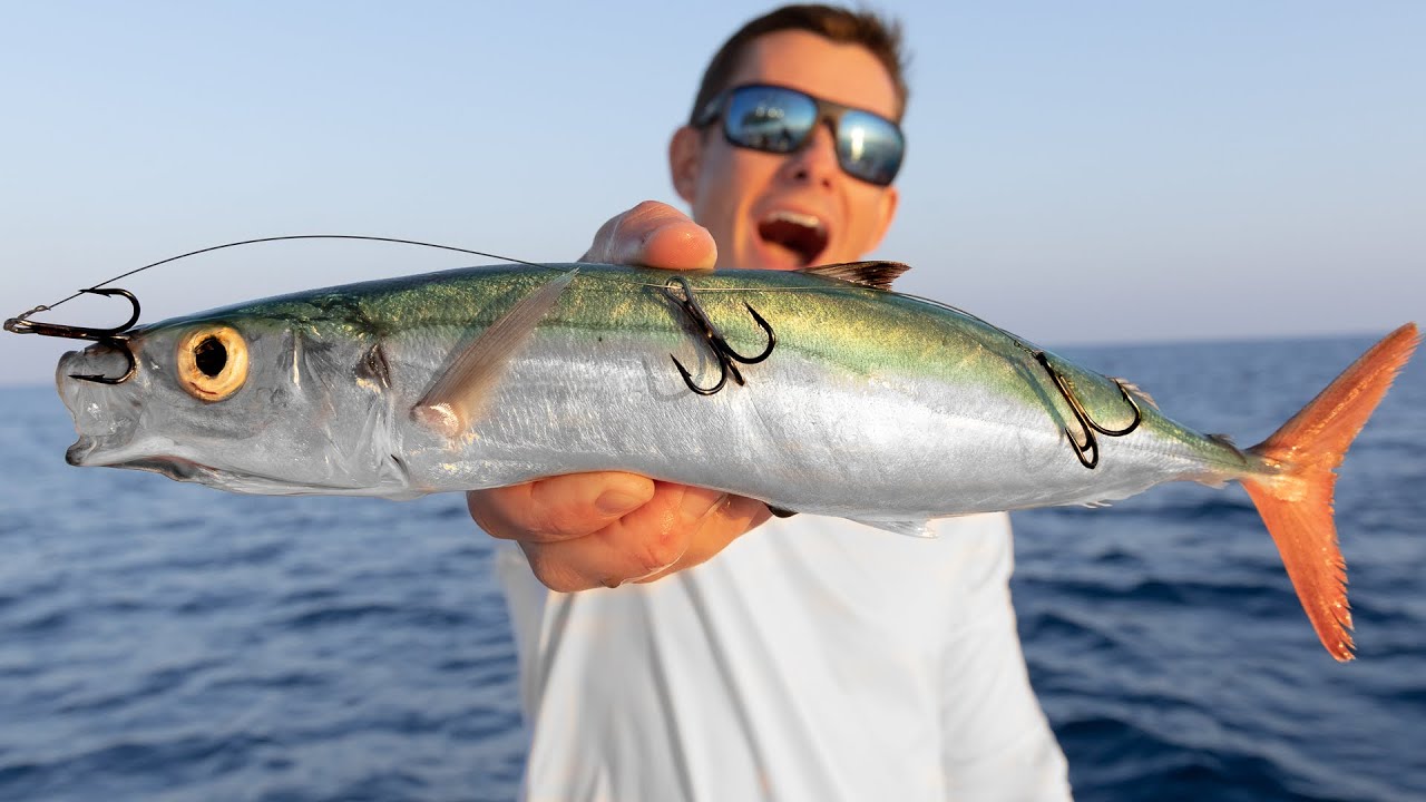 BIG Baits for Deep Sea GIANTS. Catch Clean Cook