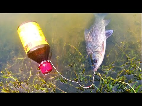 প্লাষ্টিক এর বোতলে বড়শি দিয়ে মাছ ধরা | Amazing Plastic Bottle Fish Trap