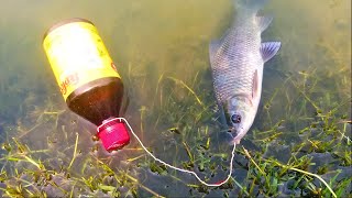 প্লাষ্টিক এর বোতলে বড়শি দিয়ে মাছ ধরা | Amazing Plastic Bottle Fish Trap