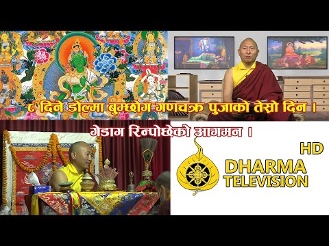 डोल्मा बुम्छोगको तेस्रो दिनमा गेडाग रिन्पोछेको आगमन ।। H.E Gedag Rinpoche Dolma Bumchhog 3rd Day