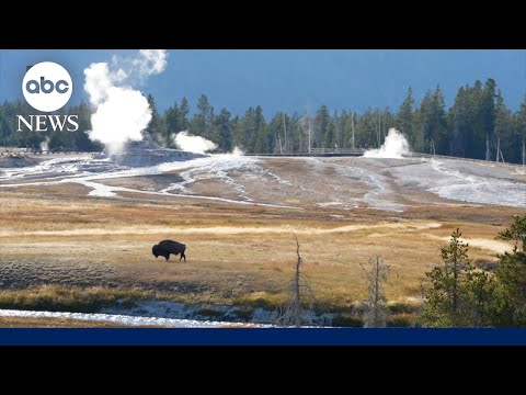 YouTube video thumbnail: Nonprofit Executive: ‘National Parks Should be Closed During Government Shutdown’