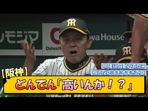 【阪神】どんでん「高いんか！？」【なんJ/2ch/5ch/ネット 反応 まとめ/阪神タイガース/岡田監督/高橋遥人/梅野隆太郎/中日ドラゴンズ】