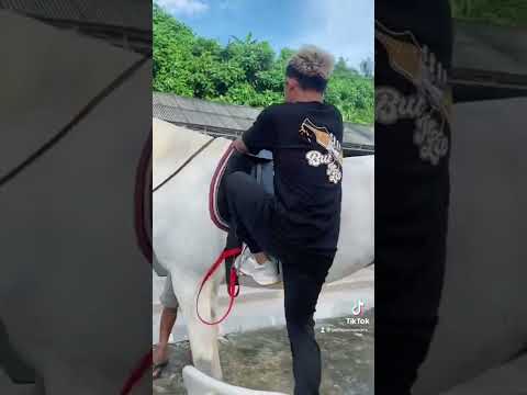 Dibawa lari kebinjai😭