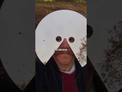 👀 Ce masque étrange…
