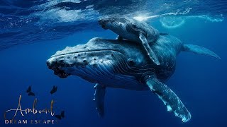 Ocean's Heartbeat: A Cinematic Voyage Through the Deep