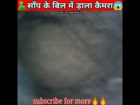 🐍साँप के बिल में ड़ाल दिया कैमरा 100% Real😳@MR. INDIAN HACKER @MrBeast @Crazy XYZ #shorts #short