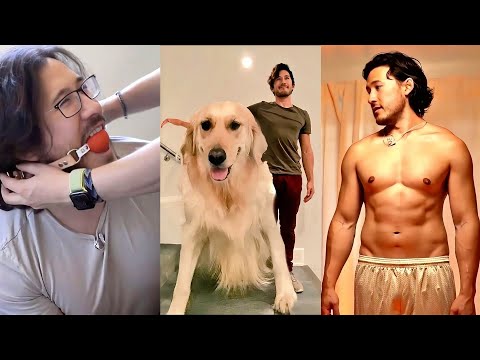 *3 HOURS* The Best Markiplier Shorts Compilation