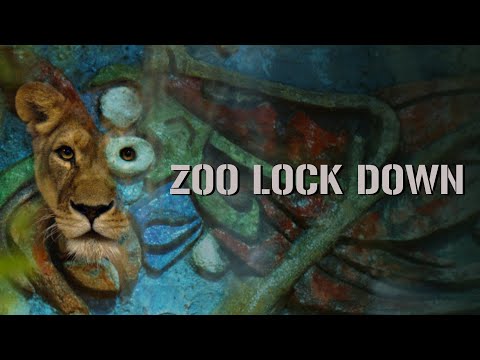 ZOO LOCK DOWN Official Trailer | Now Streaming on Fandor!