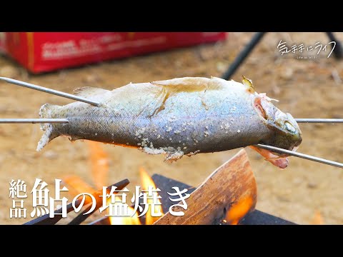 【ソロキャンプ】鮎を捌いて塩焼きにする