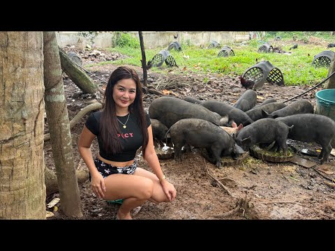 Halos naubos ang Native Pigs ko dahil sa ASF 🥲 || BOHOL