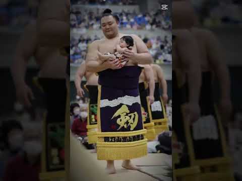 かっこよ#相撲界隈 #youtubeshorts #youtube #shortvideo