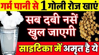 ये 5 देसी चीज़ें साइटिका को जड़ से खत्म कर देंगी|Super Food For Sciatica Pain