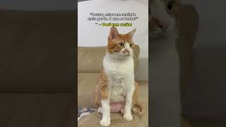 SERÁ Q TÁ GORD0?