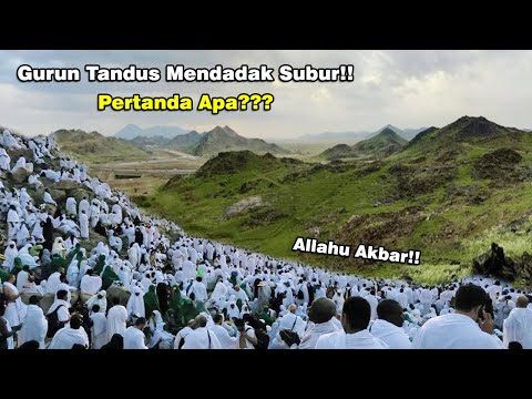 Dunia Gempar! Gurun Tandus Mekah Mendadak Hijau dan Subur Dalam Waktu Singkat!